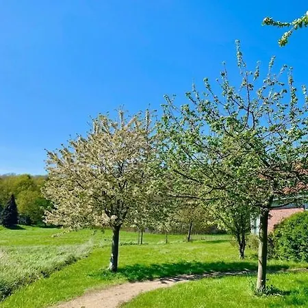 Mueritzzeit In Roebel An Der Mueritz, Cleaning Included بيت للعطل